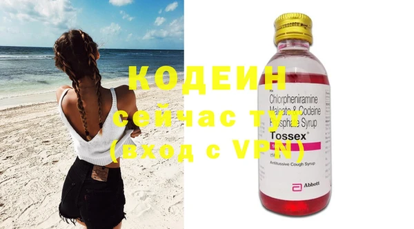 ГАЛЛЮЦИНОГЕННЫЕ ГРИБЫ Новозыбков