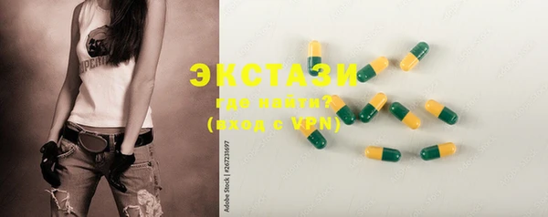 шишки Новодвинск