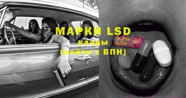 марки lsd Бородино