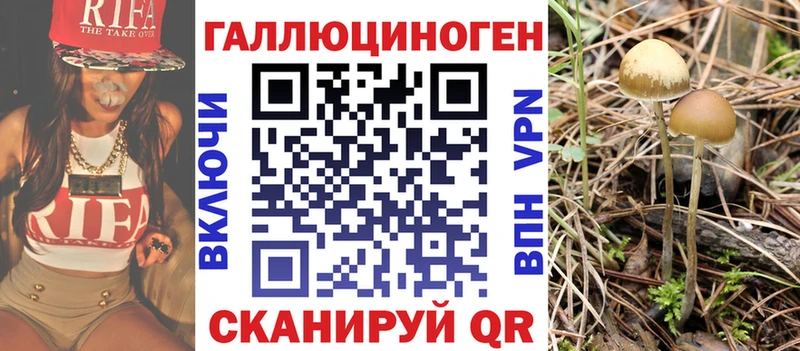 Псилоцибиновые грибы Cubensis  KRAKEN зеркало  Ликино-Дулёво 